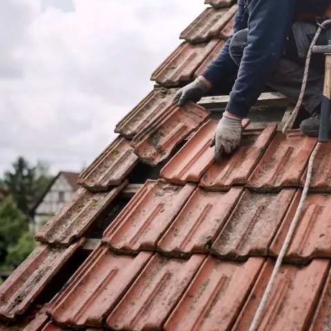 Canvas Dachs – Fachgerechte Dachdeckung